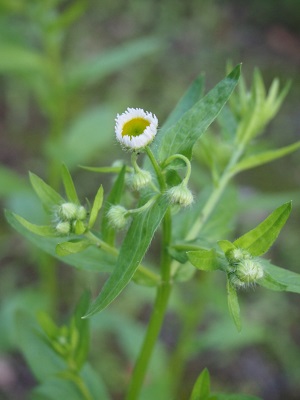 b0246758_13393370.jpg