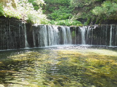 e0088260_17121595.jpg