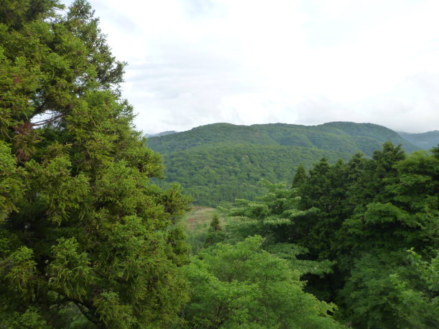 e0165577_15202260.jpg