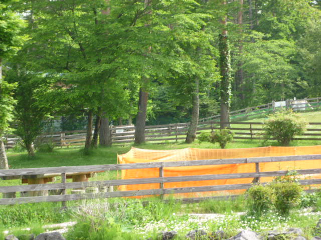 e0165577_1536286.jpg