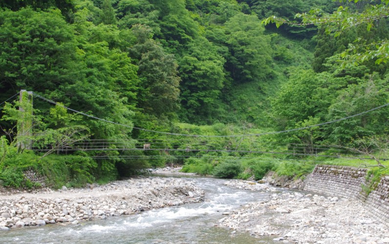 c0144185_16134429.jpg