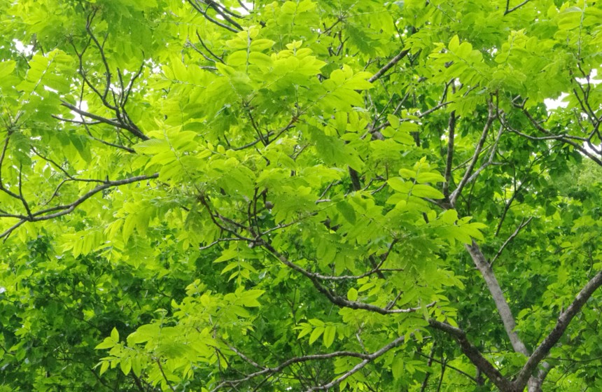 c0144185_16211569.jpg