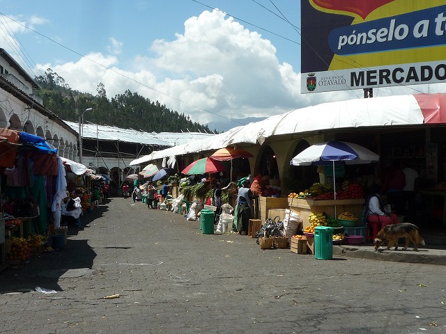 b0287088_20285990.jpg
