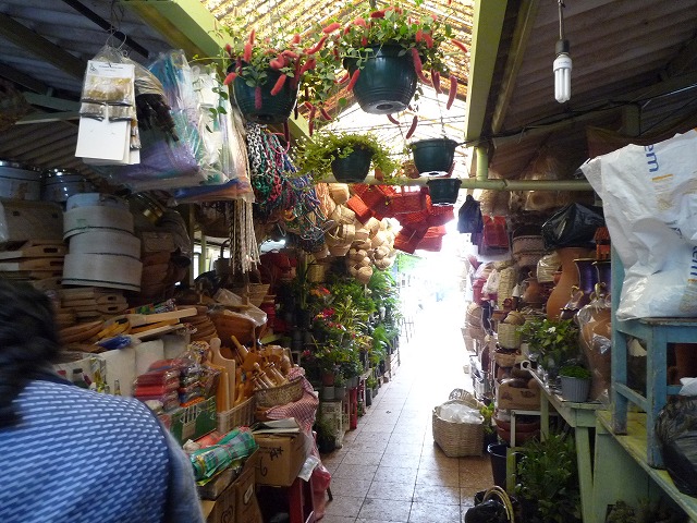 b0287088_2075937.jpg