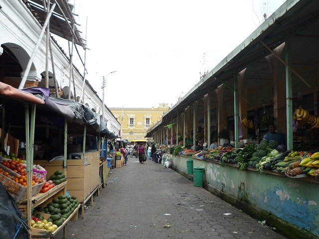 b0287088_2081847.jpg