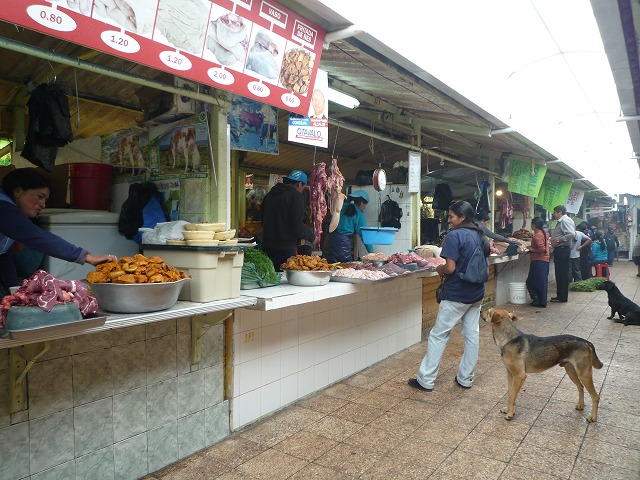 b0287088_2083973.jpg