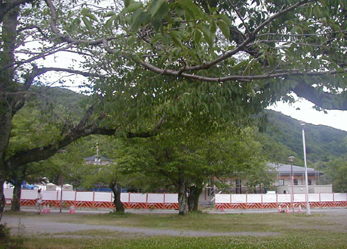 d0053294_2344052.jpg