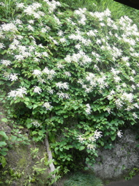 c0149195_2138899.jpg
