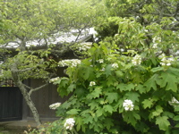 c0149195_22303983.jpg