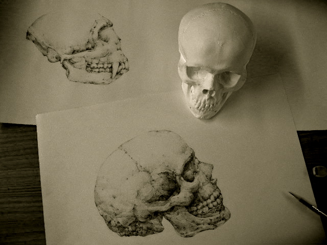 a0199297_18315443.jpg