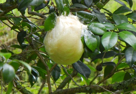 a0236300_12135525.jpg