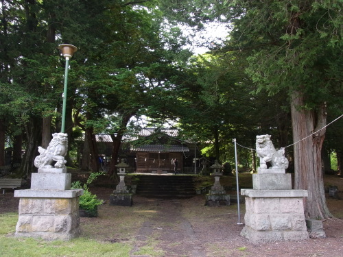 b0101300_15352565.jpg