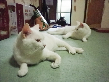 f0239100_2330929.jpg