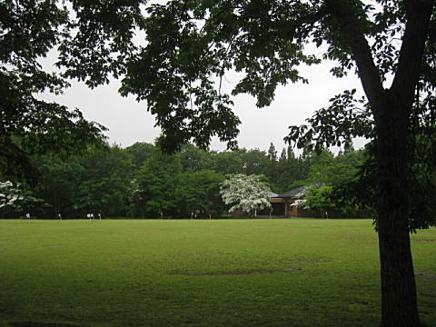 d0046702_16394991.jpg