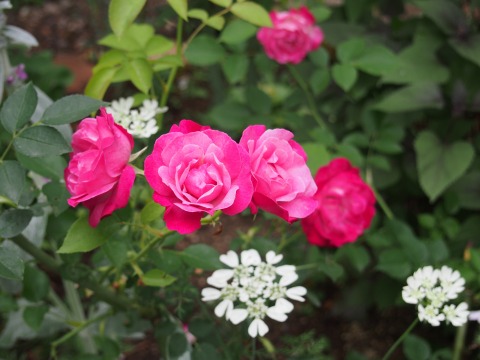 c0117007_1403257.jpg
