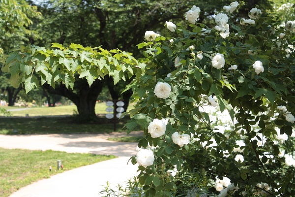 d0001008_21222879.jpg