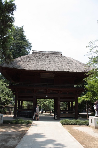 d0001008_21324684.jpg