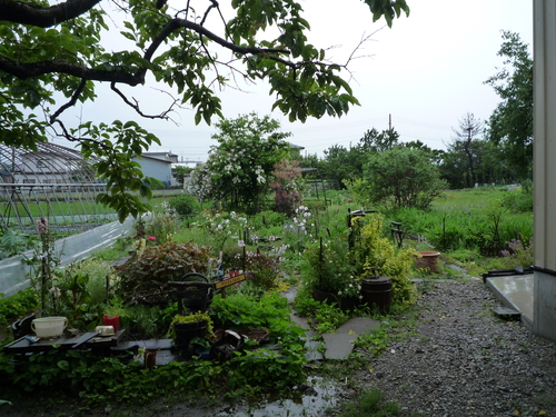 b0035611_20153168.jpg