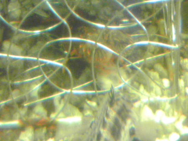 a0291521_873338.jpg