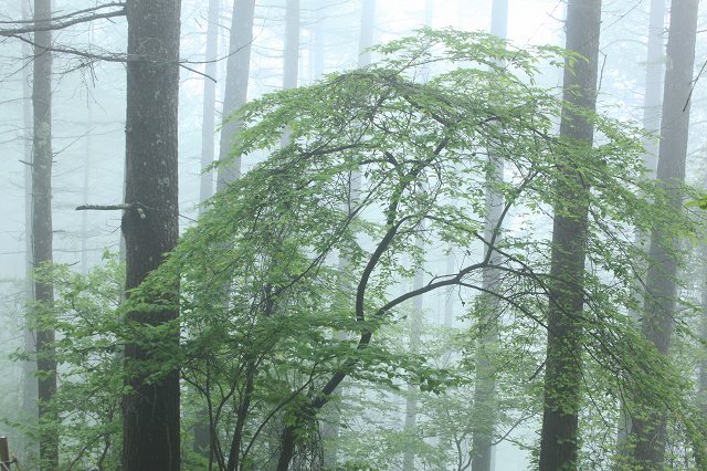 e0242721_14381798.jpg