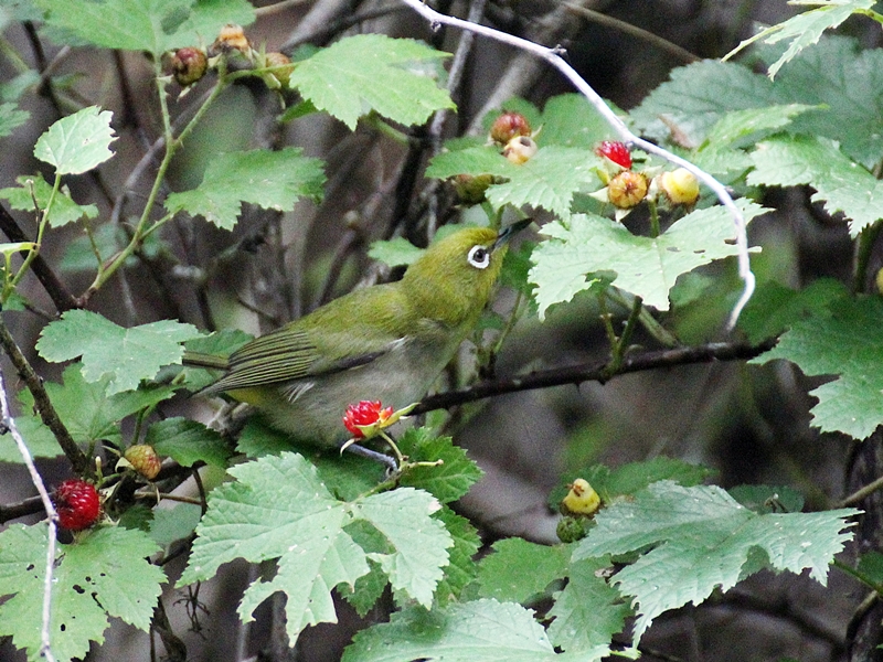 f0310221_2149521.jpg