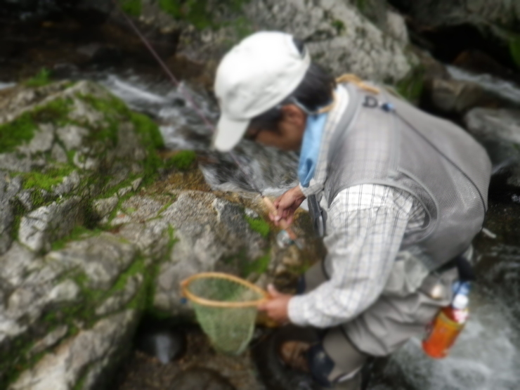 d0257922_20201517.jpg