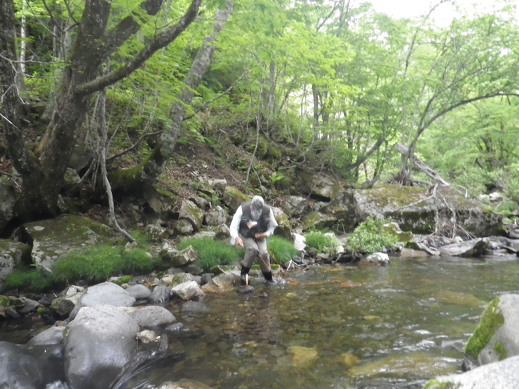 d0257922_20231740.jpg