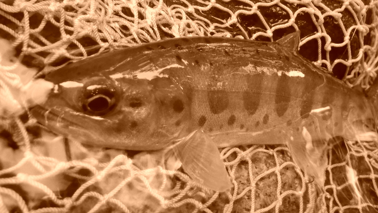 d0257922_2025136.jpg