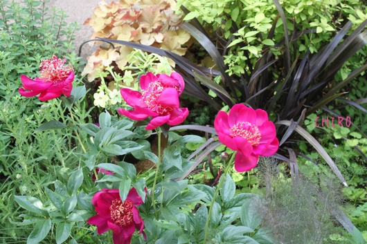 f0293522_17171126.jpg