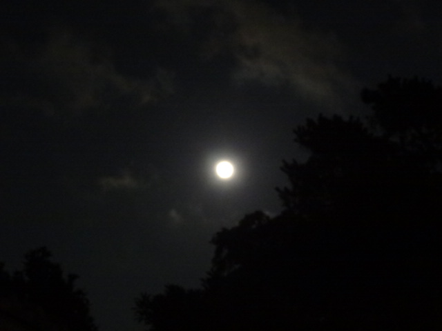 e0016828_23103493.jpg