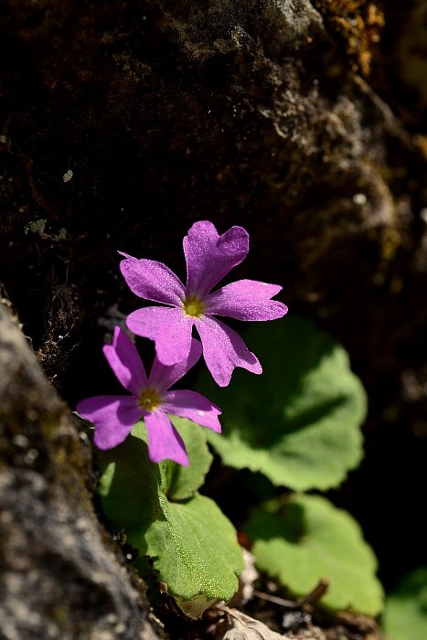 b0236334_21573399.jpg