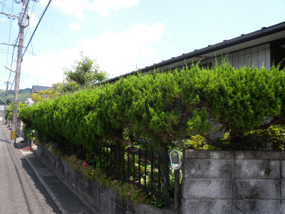 e0272335_184317.jpg