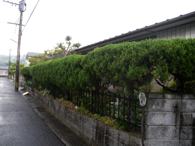 e0272335_1845276.jpg