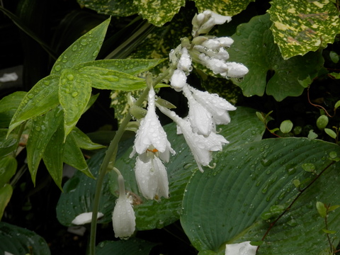 e0288951_18433242.jpg