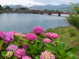 f0113862_18421369.jpg