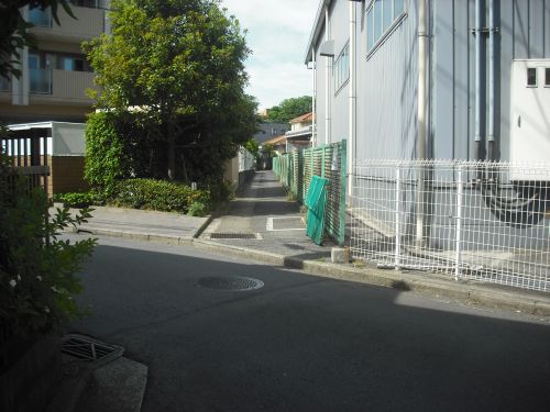 b0206463_1158276.jpg