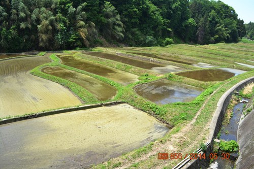 f0342371_0103069.jpg