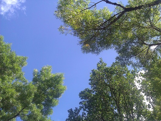 f0112080_2101092.jpg