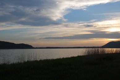 a0133886_1713327.jpg
