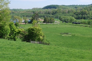 a0133886_1723682.jpg