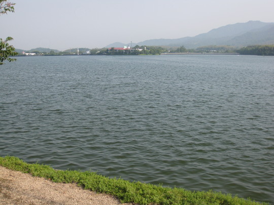 f0010195_2324283.jpg