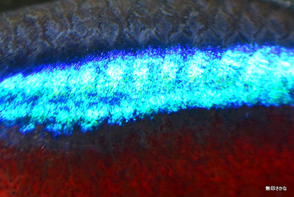 b0230805_03181903.jpg