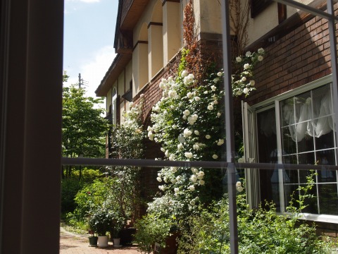c0117007_20472928.jpg