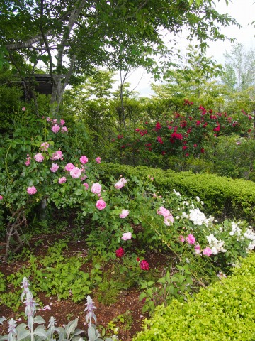 c0117007_20483694.jpg