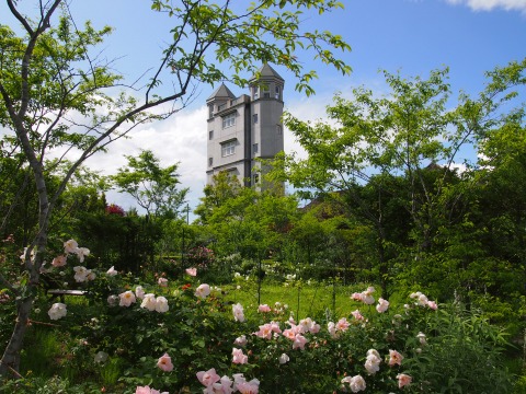 c0117007_20493434.jpg