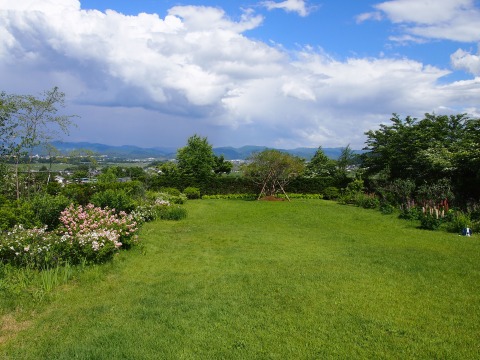 c0117007_2054953.jpg