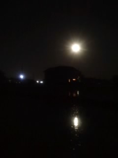 b0085408_20383535.jpg
