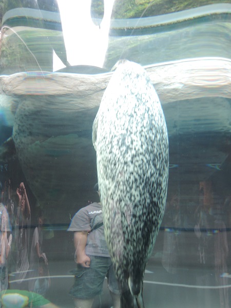 e0087008_10372214.jpg