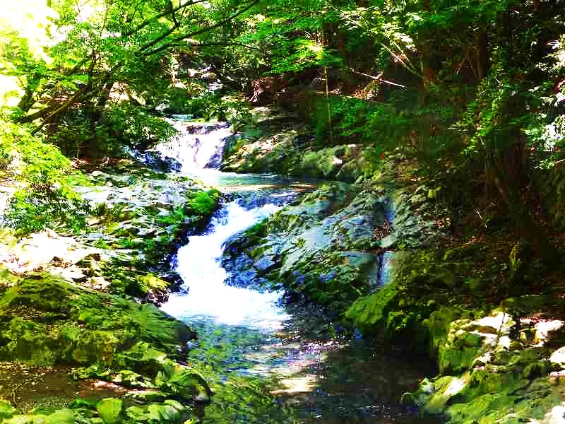 f0182513_23105954.jpg
