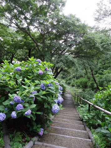 f0000521_4334020.jpg
